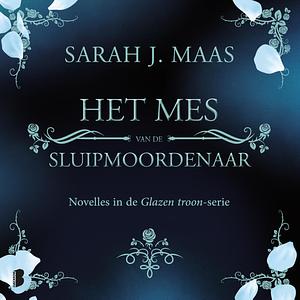 Het Mes van de Sluipmoordenaar by Sarah J. Maas