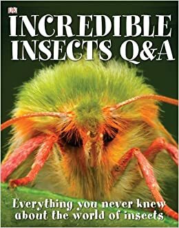 Incredible Insects Q & A by Sally Tagholm, George McGavin