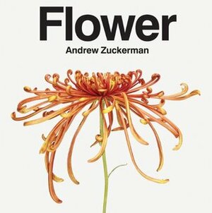 Flower by Andrew Zuckerman