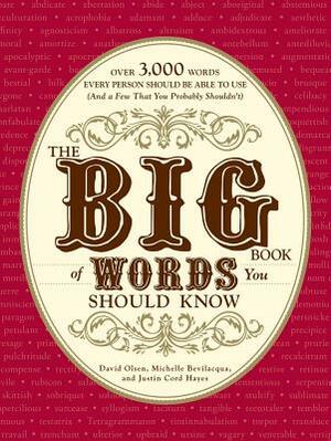 The Big Book of Words You Should Know: Over 3,000 Words Every Person Should Be Able to Use (and a Few That You Probably Shouldn't) by Michelle Bevilacqua, David Olsen, Justin Cord Hayes