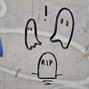 sav_wn's profile picture