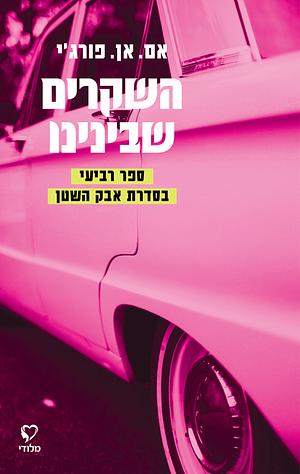 השקרים שבינינו  by M.N. Forgy