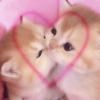anamazim's profile picture