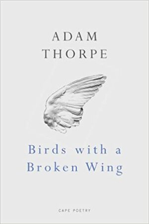 Birds With A Broken Wing by Adam Thorpe