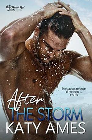 After the Storm by Katy Ames