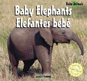 Baby Elephants/Elefantes Bebe by Alice Twine