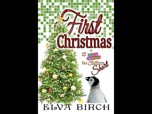 First Christmas  by Elva Birch