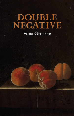 Double Negative by Vona Groarke