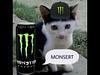 corruptcat's profile picture
