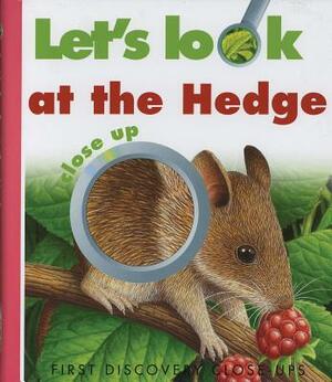 Let's Look at the Hedge by Caroline Allaire