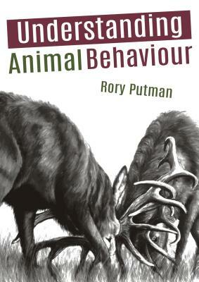 Understanding Animal Behaviour by Rory Putman