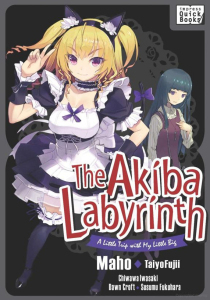 The Akiba Labyrinth by Maho