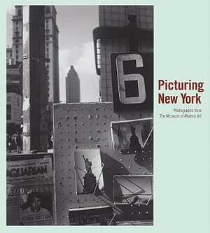 Picturing New York: Photographs from the Museum of Modern Art by Sarah Hermanson Meister