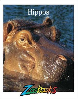 Hippos by Beth Wagner Brust, Beth Wagner Brust