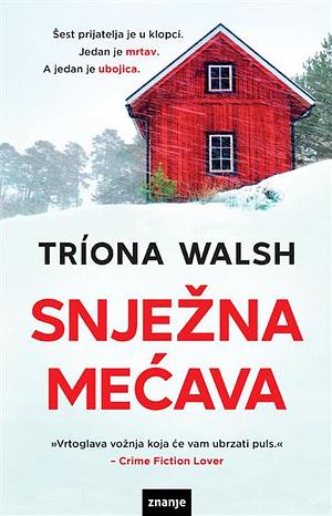 Snježna mećava by Tríona Walsh