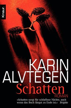 Schatten by Dagmar Lendt, Karin Alvtegen