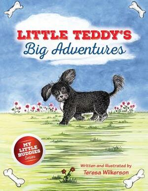 Little Teddy's Big Adventures by Teresa Wilkerson