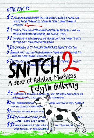 Snitch 2: A Year of Relative Madness by Edyth Bulbring