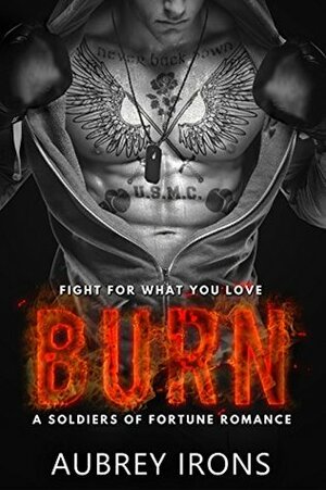 Burn by Aubrey Irons