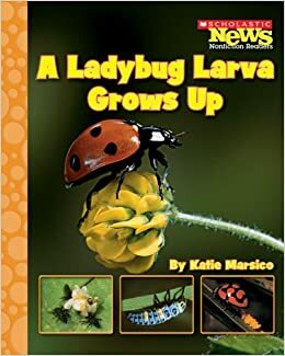 A Ladybug Larva Grows Up by Katie Marsico