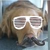 epicdonut1109's profile picture