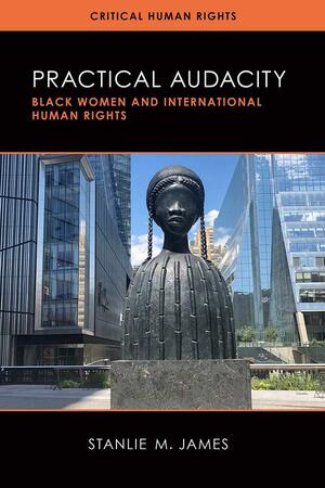 Practical Audacity: Black Women and International Human Rights by Stanlie M. James