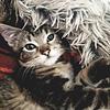 ittybitty_booknook's profile picture