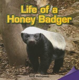 Life of a Honey Badger by Sarah Machajewski