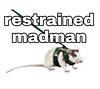 rat_9991's profile picture