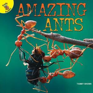 Amazing Ants by Tammy Brown