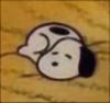 jingles_ss's profile picture