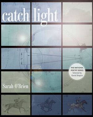 Catch Light by Sarah O'Brien