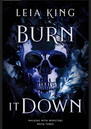 Burn It Down by Leia King