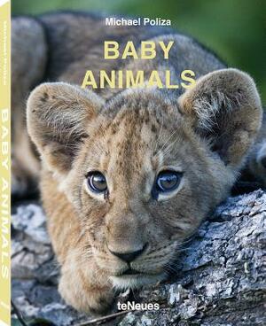 Baby Animals by 