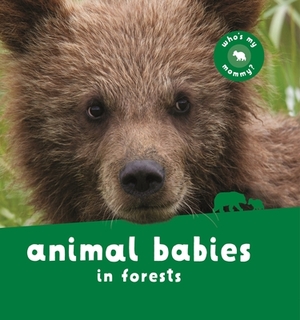 Animal Babies in Forests by Kingfisher Books