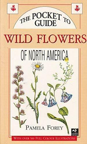 Pocket Guide To Wild Flowers Of North America by Pamela Forey