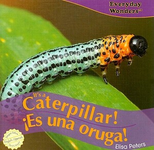 It's a Caterpillar!/Es Una Oruga! by Elisa Peters