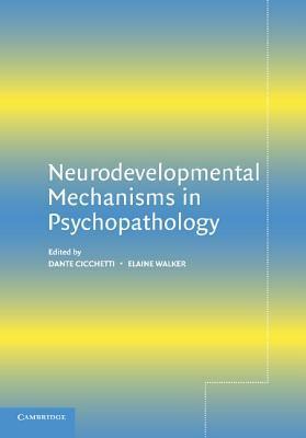 Neurodevelopmental Mechanisms in Psychopathology by Dante Cicchetti