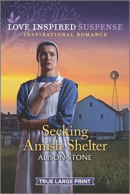 Seeking Amish Shelter by Alison Stone