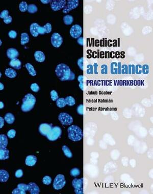 Medical Sciences at a Glance: Practice Workbook by Jakub Scaber, Peter Abrahams, Faisal Rahman