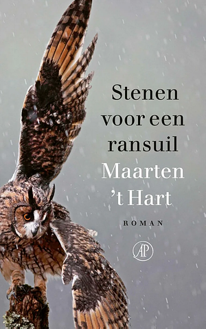 Stenen voor een ransuil by Maarten 't Hart