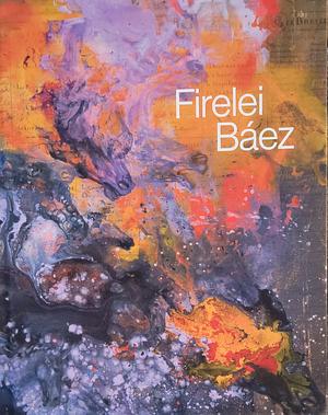 Firelei Báez by Eva Respini, Firelei Baez