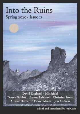 Into the Ruins: Spring 2020 (Issue 15) by Mir Seidel, Devon Marsh, Alistair Herbert