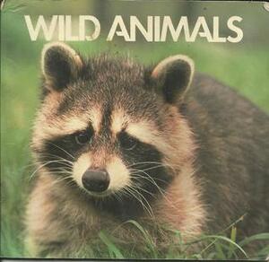 Animal Info: Wild Animals by Roger Price
