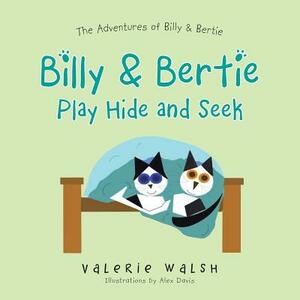 Billy & Bertie Play Hide and Seek by Valerie Walsh