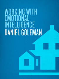 Working With Emotional Intelligence by Daniel Goleman