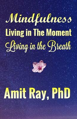 Mindfulness: Living in the Moment Living in the Breath by Amit Ray