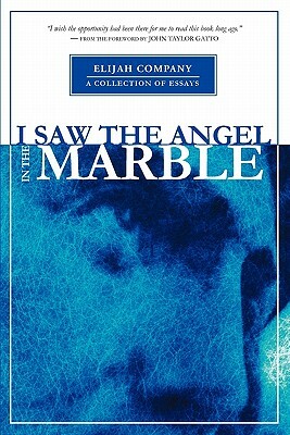 I Saw the Angel in the Marble by Ellyn Davis, Chris Davis