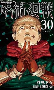 Jujutsu Kaisen, Vol. 30 by Gege Akutami