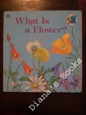 What Is a Flower? by Dorothy Barlowe